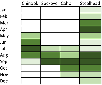 Seasonal fishing calendar for Chinook, Sockeye, Coho, and Steelhead in the Skeena region
