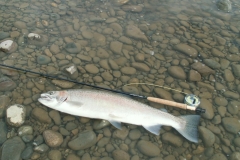 Terrace Fishing