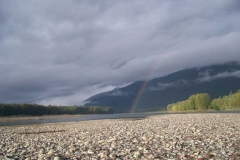 Steelhead Fishing