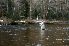 Steelhead Fishing