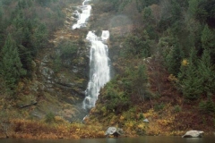 Steelhead Fishing