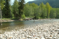 Steelhead Fishing