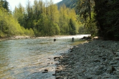 Terrace Fishing