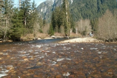 Salmon Fishing