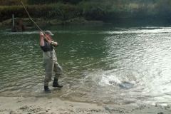 Steelhead Fishing