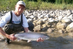 Steelhead Fishing