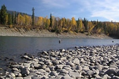 Terrace Fishing